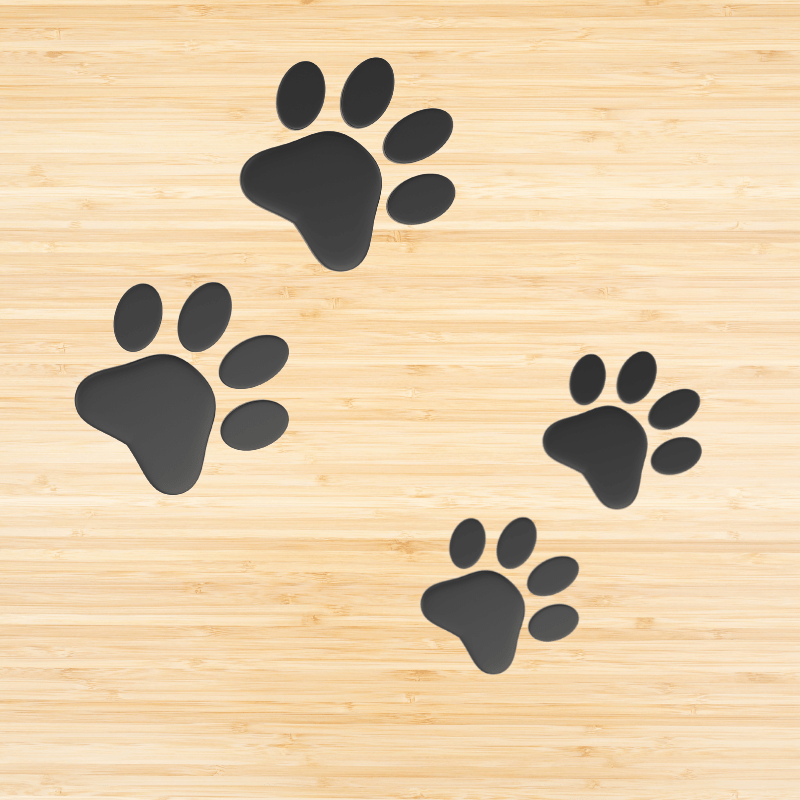 vinyl floor graphics printing